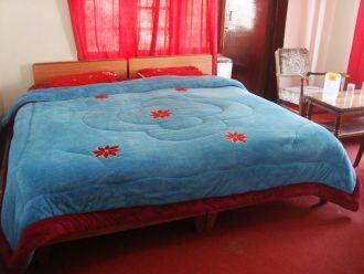 Wan Posh Guest House, Srinagar 2